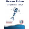 DVH Aquatics Ocean Prime Copepods 500-700µm 50 g