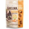 SHELMA CHRUMKAVÉ VANKÚŠIKY PRE MAČKY SNACKY KURACIE MÄSO KURKUMA 60G BEZ OBILNÍN SHELMA CHRUMKAVÉ VANKÚŠIKY PRE MAČKY SNACKY KURACIE MÄSO KURKUMA 60G BEZ OBILNÍN