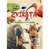 Zvířata v otázkách a odp… Zvířata v otázkách a odp…