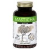 MASTICHA ACTIVE - Apothecary cps 1x100 ks MASTICHA ACTIVE - Apothecary cps 1x100 ks
