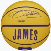 Wilson NBA Player Icon Mini Lebron