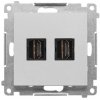 Zásuvka 2xHDMI matný hliník SIMON55 (Simon) Zásuvka 2xHDMI matný hliník SIMON55 (Simon)
