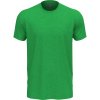 Next Level Apparel Tričko N6210 CVC, krátký rukáv, unisex COT08621052003-kelly green L Zelená kelly Next Level Apparel Tričko N6210 CVC, krátký rukáv, unisex COT08621052003-kelly green L Zelená kelly