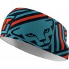 Dynafit Graphic Performance headband Storm Blue 3010