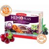 Terezia Company Hemo plus+kyselina listová + železo + vitamin C 60 kapslí