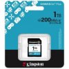 Kingston Canvas Go Plus/SDXC/1TB/UHS-I U3 / Class 10 (SDG4/1TB) Kingston Canvas Go Plus/SDXC/1TB/UHS-I U3 / Class 10 (SDG4/1TB)