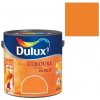 Dulux Colours Of the World, sušená marhuľa 2,5 l, sušená marhuľa Dulux Colours Of the World, sušená marhuľa 2,5 l, sušená marhuľa