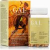 GAL UC-II Chrupavkový-komplex (60 kapsúl) 25g GAL UC-II Chrupavkový-komplex (60 kapsúl) 25g