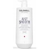 Kondicionér na vlasy Goldwell Just Smooth 1000 ml, oplachovací, pre hladké vlasy Kondicionér na vlasy Goldwell Just Smooth 1000 ml, oplachovací, pre hladké vlasy