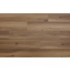 Arbiton Woodric Eir Acoustic CWSA 211 Dub Dallas 2,235 m² Arbiton Woodric Eir Acoustic CWSA 211 Dub Dallas 2,235 m²