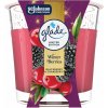 Glade Winter Berries 112 g