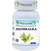 Planet Ayurveda Nephralka - zdravé obličky a močový systém 500mg 60 kapsúl Planet Ayurveda Nephralka - zdravé obličky a močový systém 500mg 60 kapsúl