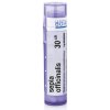 Sepia Officinalis gra.1 x 4 g 30CH Sepia Officinalis gra.1 x 4 g 30CH