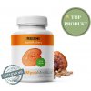 Reishi MycoMedica Reishi MycoMedica