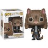Figurka Funko POP! Harry Potter Hermiona as cat 77 (889698355094) Figurka Funko POP! Harry Potter Hermiona as cat 77 (889698355094)