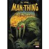 Man Thing By R.L. Stine - R. L. Stine, German Peralta, Marvel Man Thing By R.L. Stine - R. L. Stine, German Peralta, Marvel
