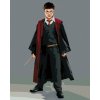 Zuty – Maľovanie podľa čísel – Harry Potter v habite s prútikom, 40 × 50 cm, plátno + rám 8596530238973 Zuty – Maľovanie podľa čísel – Harry Potter v habite s prútikom, 40 × 50 cm, plátno + rám 8596530238973
