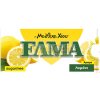 ELMA žuvačky Lemon - masticha a citrón 13g ELMA žuvačky Lemon - masticha a citrón 13g