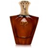 Afnan Turathi Homme Brown parfumovaná voda pánska 90 ml Afnan Turathi Homme Brown parfumovaná voda pánska 90 ml