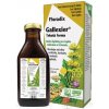 SALUS Floradix Gallexier tekutá forma 250 ml SALUS Floradix Gallexier tekutá forma 250 ml