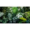 Obraz na plátne - Tropical leaves Obraz na plátne - Tropical leaves