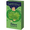 Čaj LEROS bylinný Čajová náruč žihľava 20 x 1 g Čaj LEROS bylinný Čajová náruč žihľava 20 x 1 g