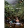 LES LIBELLULES DES ANTILLES FRANCAISES (MEURGEY/PICARD)() LES LIBELLULES DES ANTILLES FRANCAISES (MEURGEY/PICARD)()