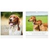 Dogs 2026 - nástěnný kalendář Dogs 2026 - nástěnný kalendář