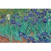Plagát, Obraz - Vincent van Gogh - Les Irises, 91.5 × 61 cm Plagát, Obraz - Vincent van Gogh - Les Irises, 91.5 × 61 cm