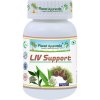 Liv Support - Pečeň, Detox Liv Support - Pečeň, Detox