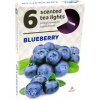 Admit Vonné čajové sviečky Blueberry, s vôňou čučoriedok 6 ks, Blueberry Admit Vonné čajové sviečky Blueberry, s vôňou čučoriedok 6 ks, Blueberry