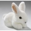 Plyšový králík 17 cm - plyšové hračky Plyšový králík 17 cm - plyšové hračky