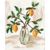 ZUTY Maľovanie podľa čísel CITRÓNY VO VÁZE 4 HALEY BUSH Rámovanie bez rámu a bez vypnutia plátna Rozmer 80 x 100 cm