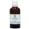 Herbarius Cesnak medvedí 50 ml Herbarius Cesnak medvedí 50 ml