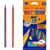 Farbičky BIC Evolution Stripes, 12 farieb Farbičky BIC Evolution Stripes, 12 farieb