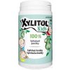 Vitabalans Xylitol Kids xylitolové pastilky s príchuťou hrušky 90 ks Vitabalans Xylitol Kids xylitolové pastilky s príchuťou hrušky 90 ks