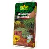 Agro FLORIA Decorative ColorMulch 70 l hnědá Agro FLORIA Decorative ColorMulch 70 l hnědá