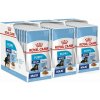 Royal Canin Maxi Puppy kapsička pre veľké šteňatá 30 x 140 g Royal Canin Maxi Puppy kapsička pre veľké šteňatá 30 x 140 g