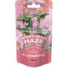 Canntropy HCT Flower Ghost Train Haze, 15 % HCT, 1 - 100 g 5 gramov Canntropy HCT Flower Ghost Train Haze, 15 % HCT, 1 - 100 g 5 gramov