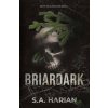 Briardark Briardark