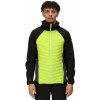 REGATTA Andreson VII Hybrid zelená pánská bunda XXL REGATTA Andreson VII Hybrid zelená pánská bunda XXL