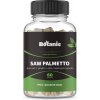 Botanic Saw palmetto - Extrakt z plodov s 40% mastných kyselín Botanic Saw palmetto - Extrakt z plodov s 40% mastných kyselín