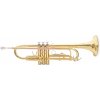 Roy Benson TR-101 Roy Benson TR-101