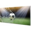 Sklenený obklad do kuchyne Futbalový štadión 100x50 cm Sklenený obklad do kuchyne Futbalový štadión 100x50 cm