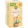 Apotheke rozprávka Dýchacie cesty s rumančekom Bio 20 x 1,5 g Apotheke rozprávka Dýchacie cesty s rumančekom Bio 20 x 1,5 g