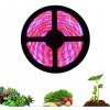 LED páska 5050 IP20, 5m rolka, pomer 4:1, rastlinná, pre rast, grow LED páska 5050 IP20, 5m rolka, pomer 4:1, rastlinná, pre rast, grow