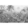 Komar Vliesová fototapeta Amazonia Black and White, rozměry 400 x 250 cm