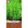 MoravoSeed Palina dračia - estragón 0,1 g MoravoSeed Palina dračia - estragón 0,1 g