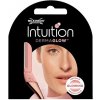 Wilkinson Intuition DermaGlow 3 ks Wilkinson Intuition DermaGlow 3 ks
