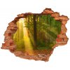 Fotoobraz diera na stenu Forest na slnku 90x70 cm Fotoobraz diera na stenu Forest na slnku 90x70 cm